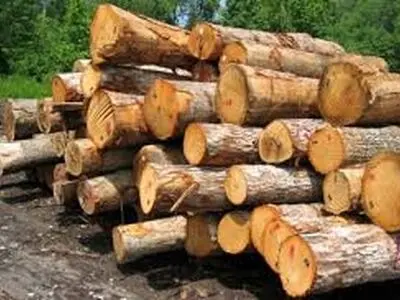 کشف چوب قاچاق در شهرستان اردل