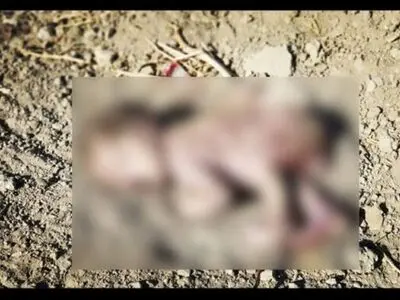 بی‌تفاوتی مسئولان ارشد استان اصفهان در حل  مشکلات/ از جولان کرونا تا نوزاد رها شده در حصه