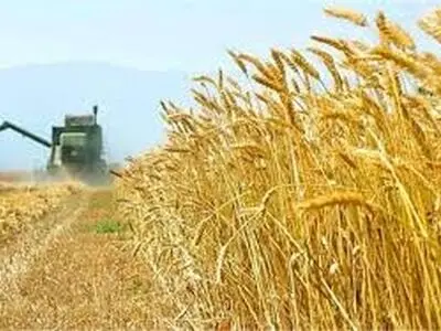 راه برای هرگونه قاچاق گندم در استان بسته می شود