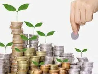 فعالیت ۱۷۱ صندوق حمایت از توسعه بخش کشاورزی در کشور

