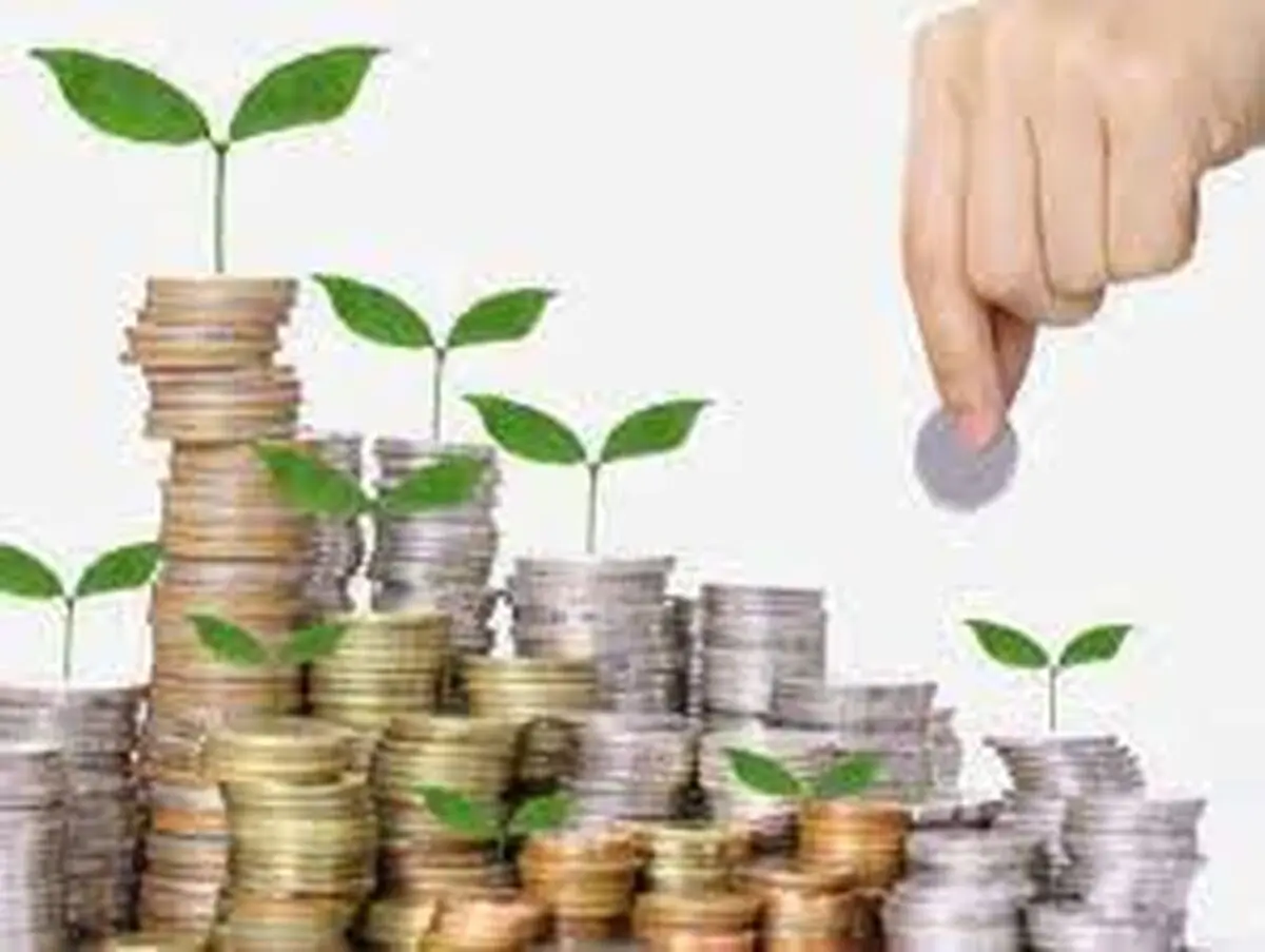 فعالیت ۱۷۱ صندوق حمایت از توسعه بخش کشاورزی در کشور

