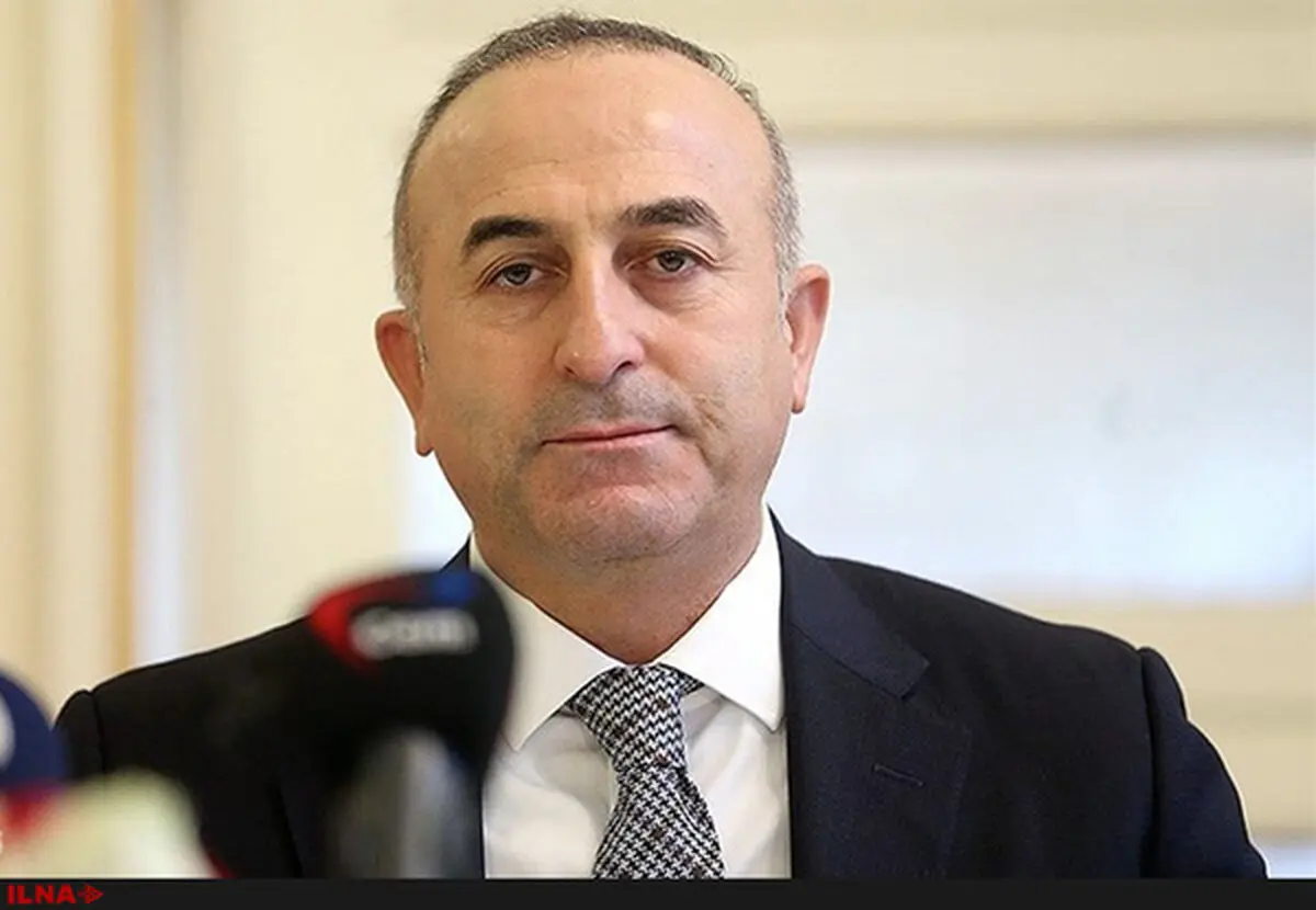 Turkish foreign minister's U.S. visit postponed: spokesman
