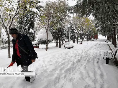 بارش برف پاییزی در تهران/ 2