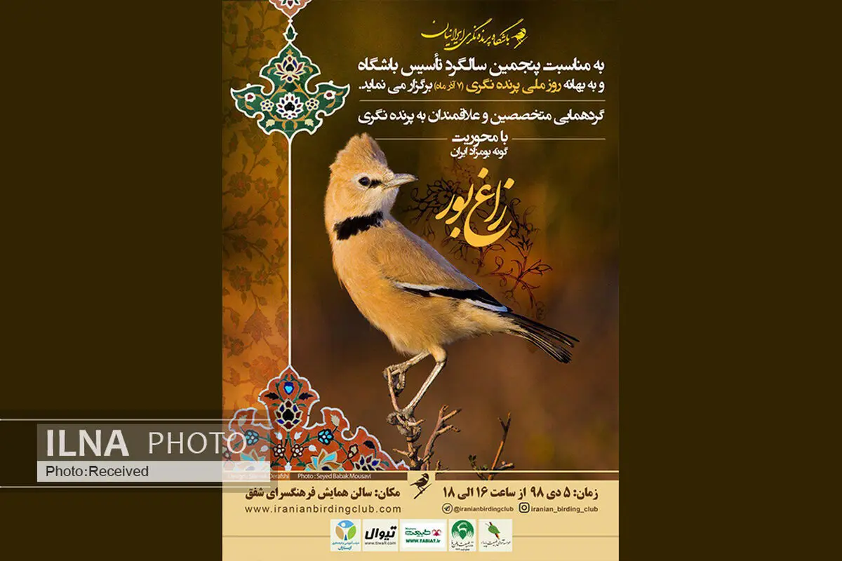 گرامیداشت روز ملی پرنده‌نگری در پایتخت