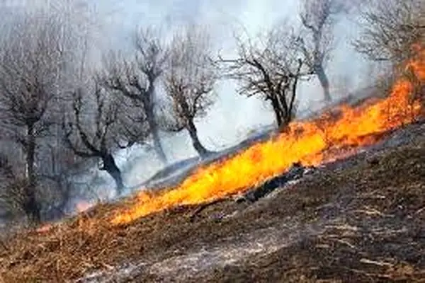 پنج هکتار از مراتع  دامنه کوه ریگ در شهرستان لردگان دچار آتش سوزی شد