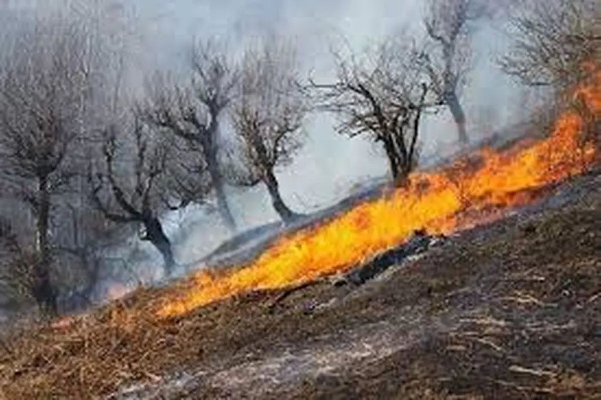 پنج هکتار از مراتع  دامنه کوه ریگ در شهرستان لردگان دچار آتش سوزی شد