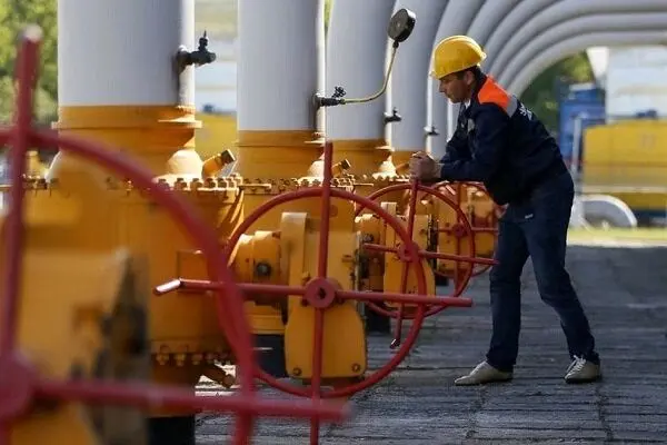 Iran, Russia can form gas OPEC: Expert