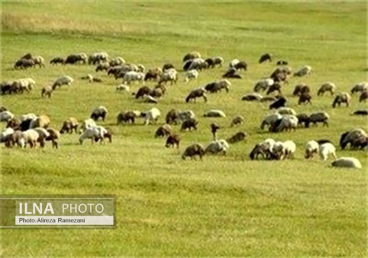 برای حفاظت از مراتع باید از سیستم های نوین بهره گرفت