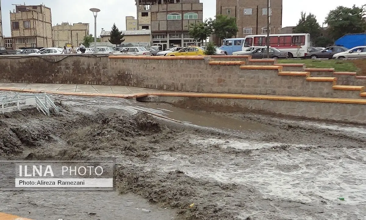 بازدید فرماندار و مدیر جهاد کشاورزی آبادان از مناطق آسیب‌دیده