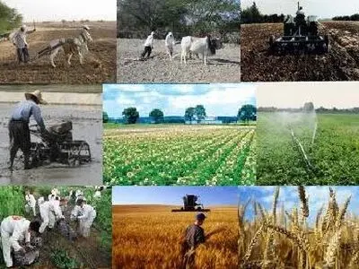 افزایش سرمایه سهم دولت در صندوق‌های حمایت از توسعه بخش کشاورزی