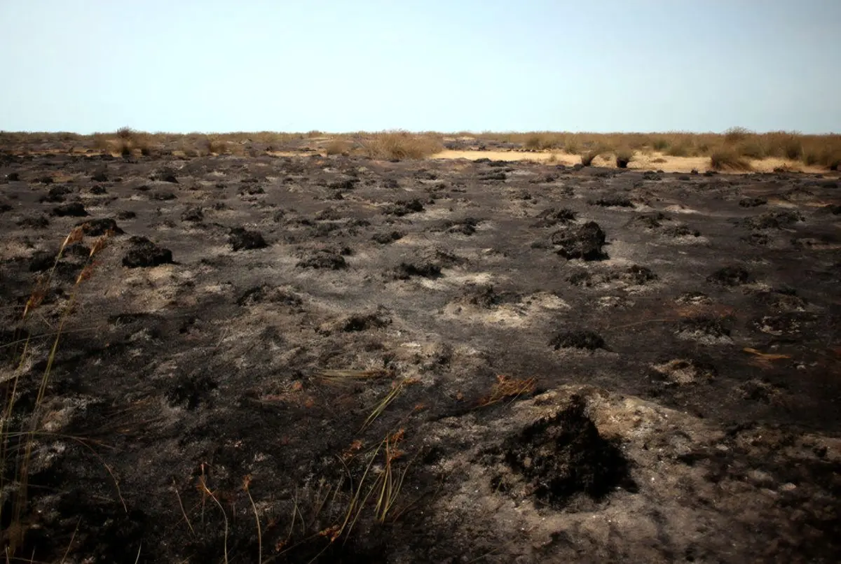 مهار آتش‌سوزی در تالاب میانکاله