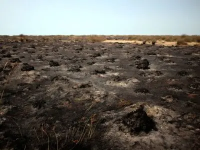 مهار آتش‌سوزی در تالاب میانکاله