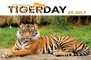29 ژوئیه روز جهانی ببر است
