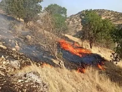 ادامه آتش‌سوزی جنگل‌های منطقه شرشره کوهدشت / آتش‌سوزی ها امروز مهار خواهد شد