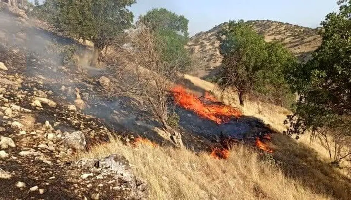 ادامه آتش‌سوزی جنگل‌های منطقه شرشره کوهدشت / آتش‌سوزی ها امروز مهار خواهد شد