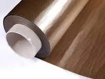 آشنایی با میکا رولی