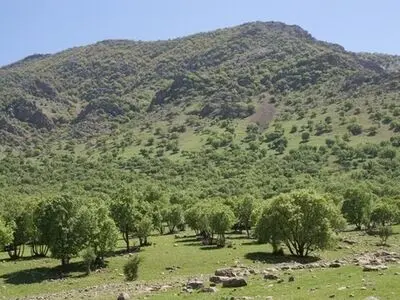 اعلام آماده‌باش نیروهای منابع طبیعی گلستان در پی افزایش دما و وزش باد