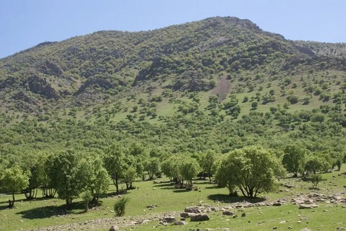 اعلام آماده‌باش نیروهای منابع طبیعی گلستان در پی افزایش دما و وزش باد