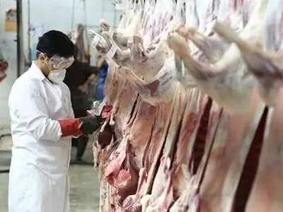 تشدید نظارت‌های بهداشتی در روز عید قربان/ هشدار نسبت به خطر «تب کریمه کنگو» در پی ذبح غیرمجاز