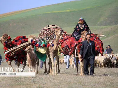 کوچ زودهنگام عشایر به مراتع آسیب می‌زند/ ضرورت ورود وزارت جهاد کشاورزی برای رفع مشکل