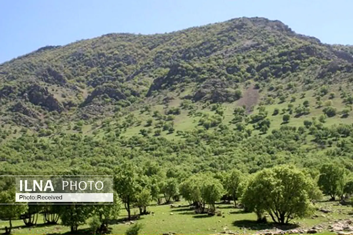 همکاری پژوهشگاه میراث فرهنگی و گردشگری برای احیای روستای الگن و جنگل‌های بلوط زاگرس