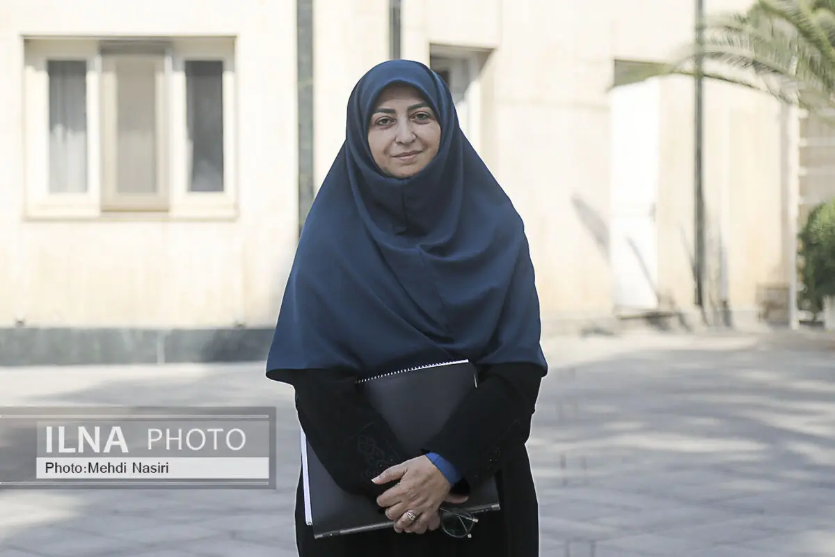 انصاری: تلاش مدافعان طبیعت در ۱۲ روز جنگ ستودنی بود