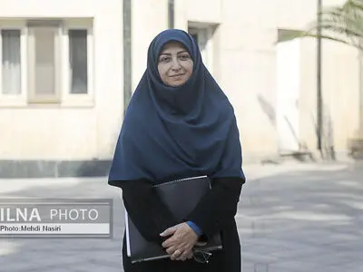 انصاری: تلاش مدافعان طبیعت در ۱۲ روز جنگ ستودنی بود