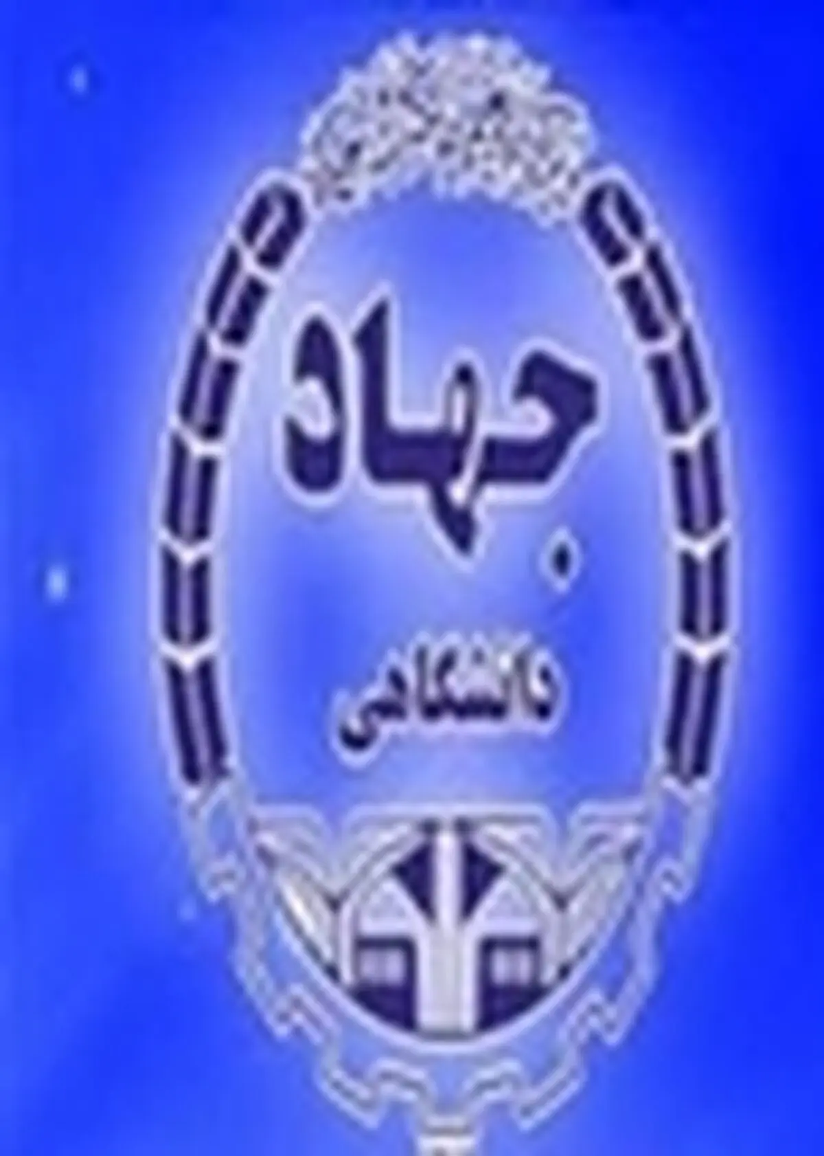 بهره‌مندی ۱۶هزار نفر از آموزش‌های کوتاه مدت جهاد دانشگاهی