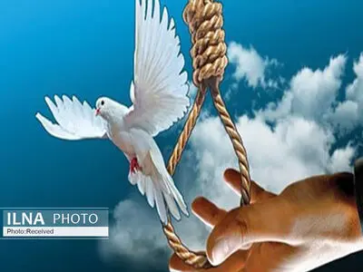 رهایی ۲۳ محکوم به قصاص نفس طی سال ۱۴۰۳ در استان البر