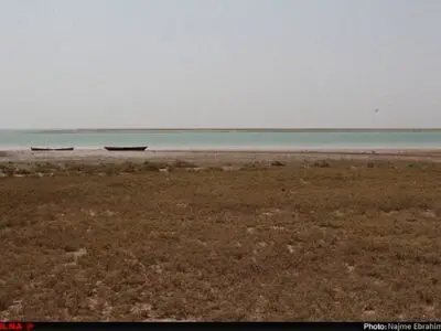 گزارش‌تصویری پاکسازی خور تیمور بندر امام خمینی توسط انجمن سفیران محیط زیست