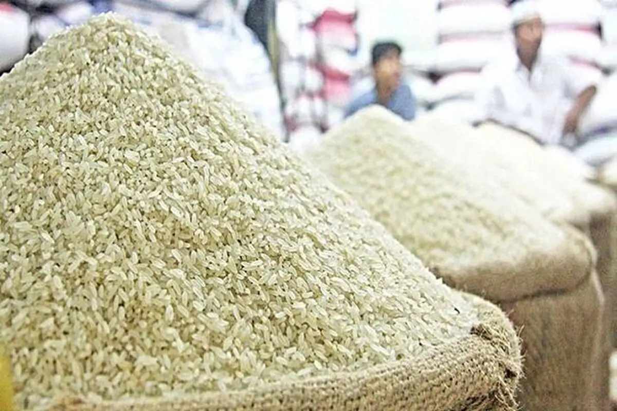 مجوز دولت برای واردات برنج در فصل برداشت خلاف قانون است/ نیکزاد: کمیسیون کشاورزی به موضوع افزایش قیمت برنج ورود کند