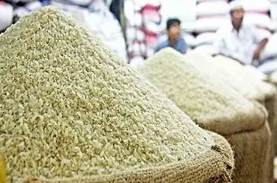  کاهش ۲۰ تا ۲۵ درصدی قیمت برنج ایرانی/ ثبات در بازار روغن خوراکی