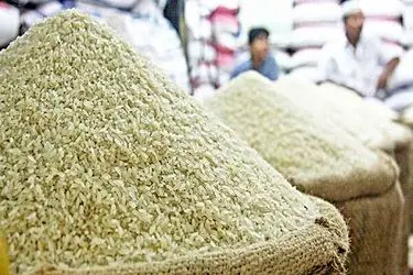  کاهش ۲۰ تا ۲۵ درصدی قیمت برنج ایرانی/ ثبات در بازار روغن خوراکی