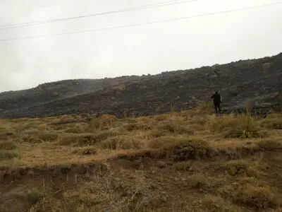 آتش‌سوزی در منطقه گردشگری نئور اردبیل مهار شد