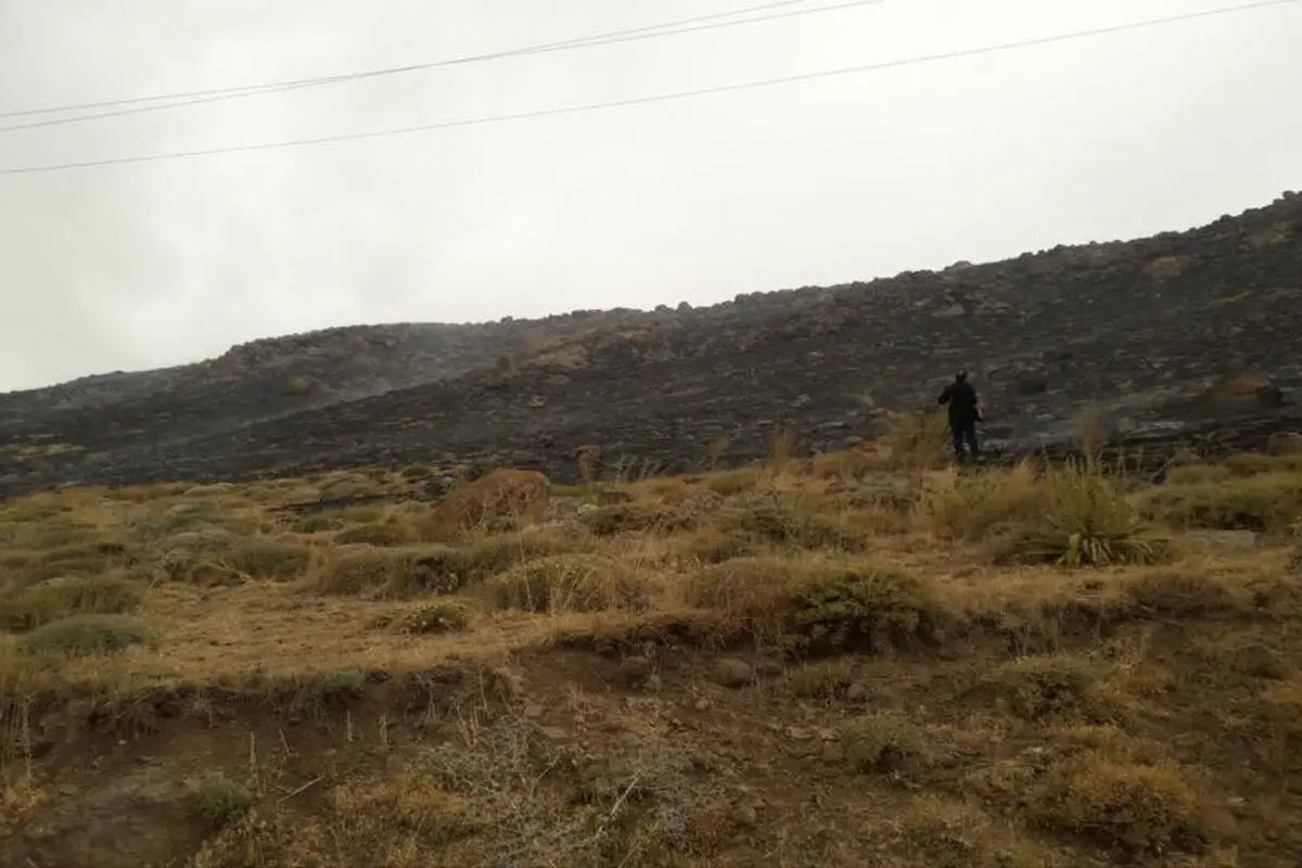 آتش‌سوزی در منطقه گردشگری نئور اردبیل مهار شد