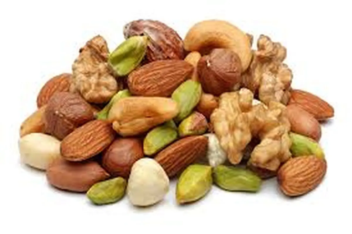 گردهمایی بزرگ تولیدکنندگان خشکبار و آجیل