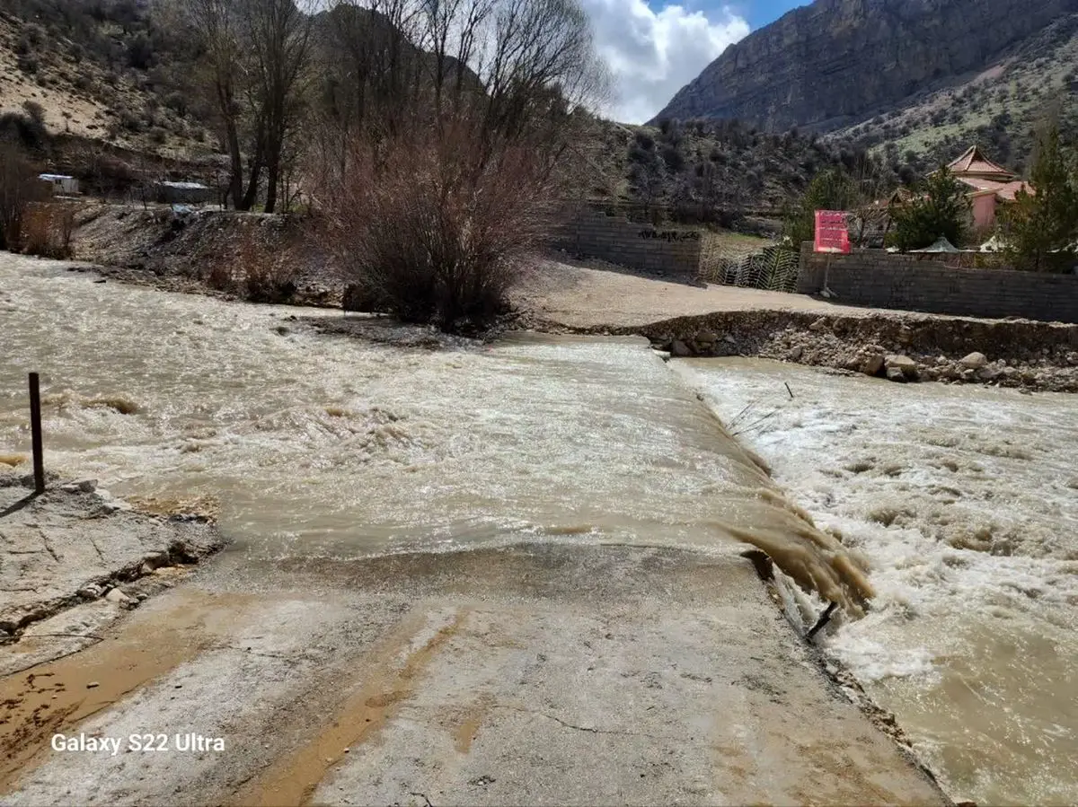 وضعیت تولید در مزارع ماهی فارس پایدار است