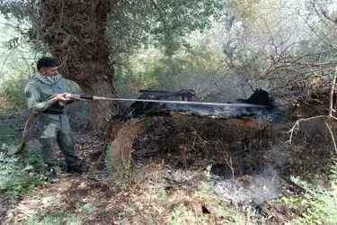 محیط زیست ایلام: آتش‌سوزی ارتفاعات مانشت سیروان مهار شد