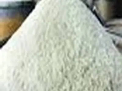 کار خرید برنج همچنان ادامه دارد