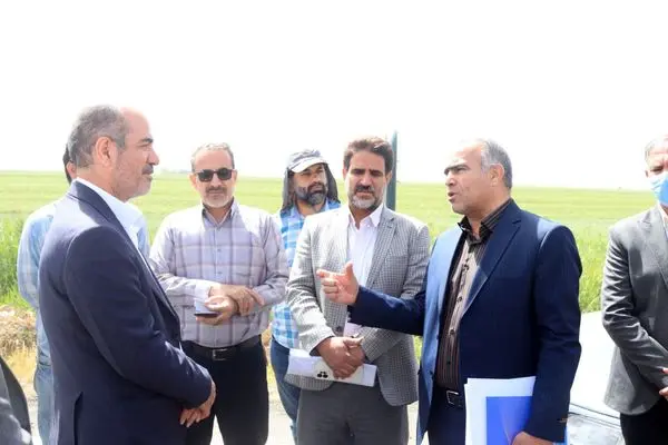تکمیل پروژه‌های نیمه‌تمام و ارتقای زیرساخت‌های ایمنی، شرط کاهش پایدار تصادفات در محورهای پرخطر است