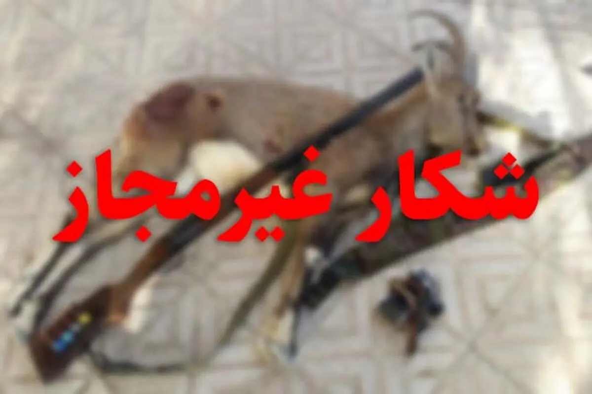 دستگیری شکارچی متخلف در بندر لنگه