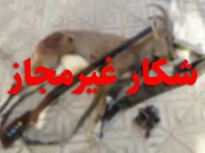 دستگیری شکارچی متخلف در بندر لنگه