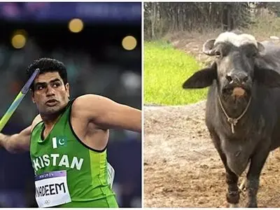 به ورزشکار پاکستانی المپیک جایزه بوفالو داده شد!