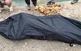 جسد نوجوان 14 ساله در باغ های نهاوند کشف شد