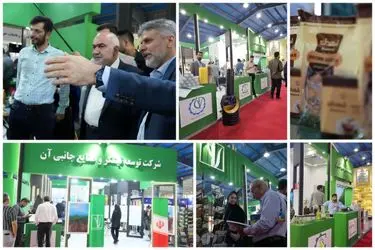 نیشکر با محصولات متنوع در کانون توجه بازدیدکنندگان/ از پایش ماهواره‌ای تا شکر طعم‌دار؛ جلوه‌های نوین نیشکر در تولید پایدار