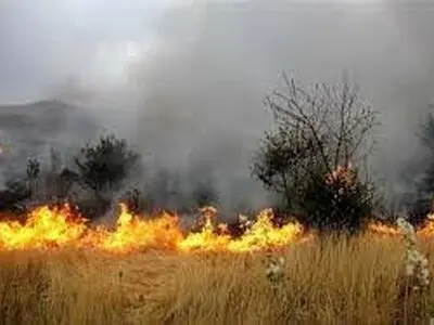 همه دستگاه‌ها برای مقابله با آتش‌سوزی مراتع و جنگل‌ها آماده باشند