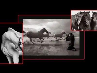ارواح رام نشده‌ی اسب‌ها در قبرستانِ اطلسیِ زمین