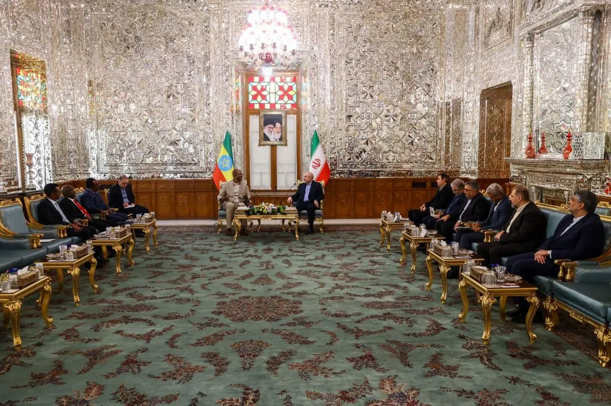 دیدار قالیباف با رییس مجلس اتیوپی
