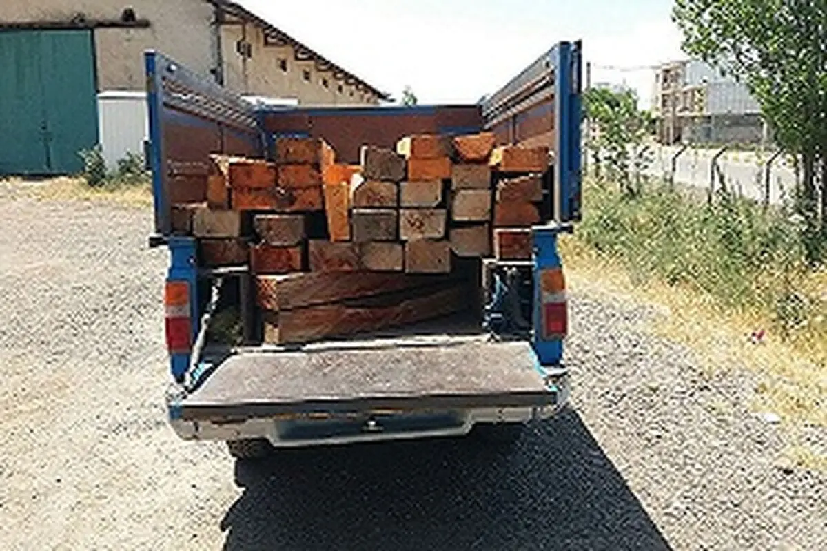 کشف و ضبط 30 اصله قنداق جنگلی در استان اردبیل