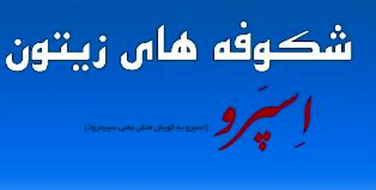 پایگاه اطلاع رسانی شکوفه‌های زیتون رودبار رونمایی شد